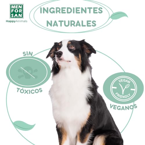 Detalle 2 de MENFORSAN Champú repelente de insectos para perros 1L con citronela