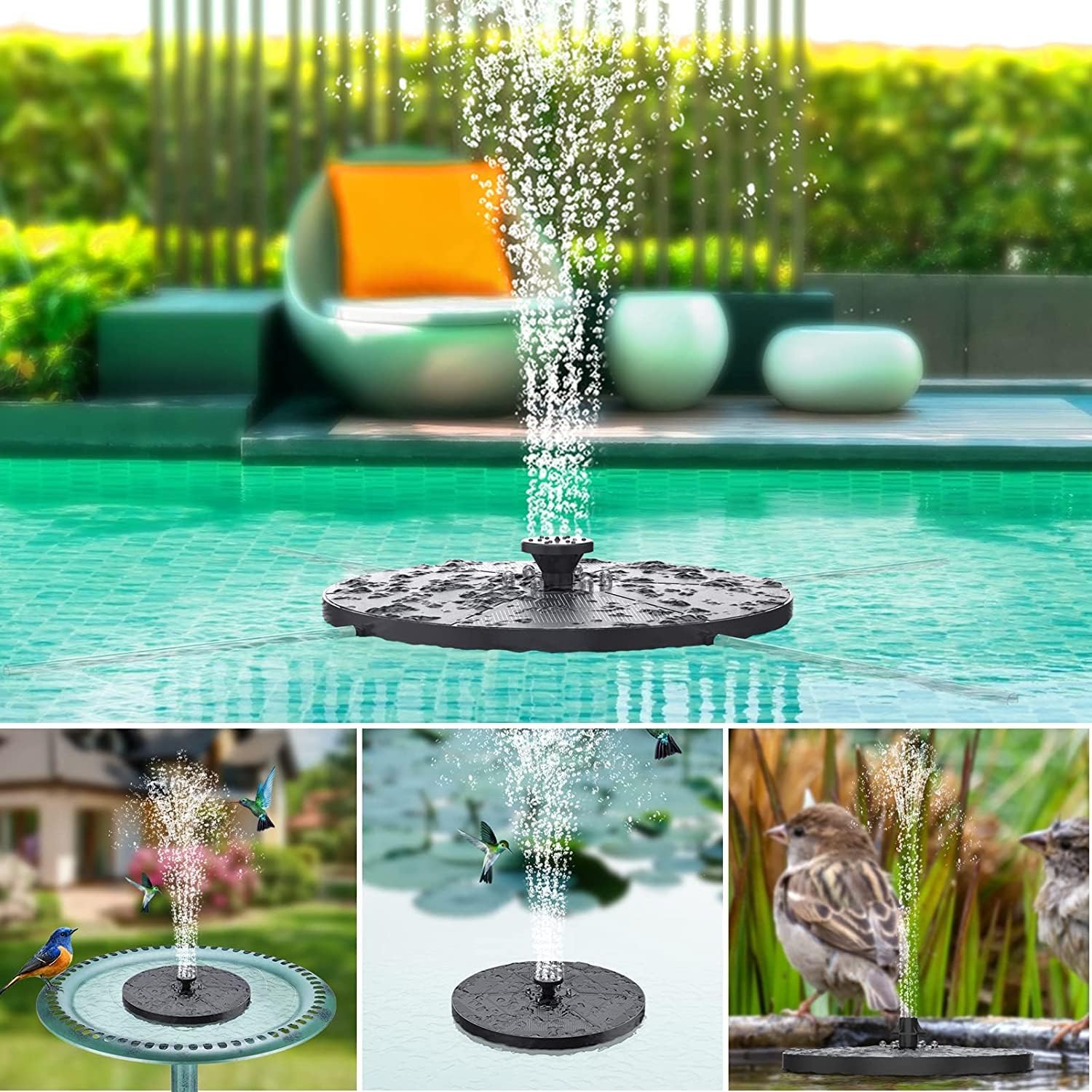 Detalle de Solar Fountain Mini: Solar Powered Water Pump for Ponds, Bird Baths and Gardens