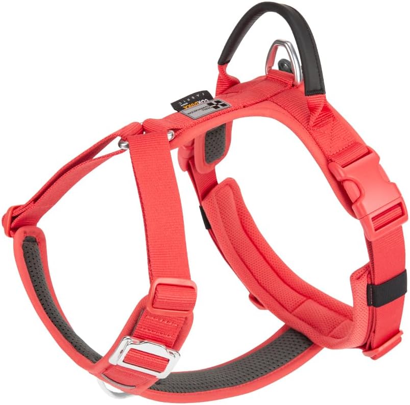 Detalle de Small Combination Dog Harness (XS) – No-pull, Adjustable Vest with Durable Handle (Mint Green)