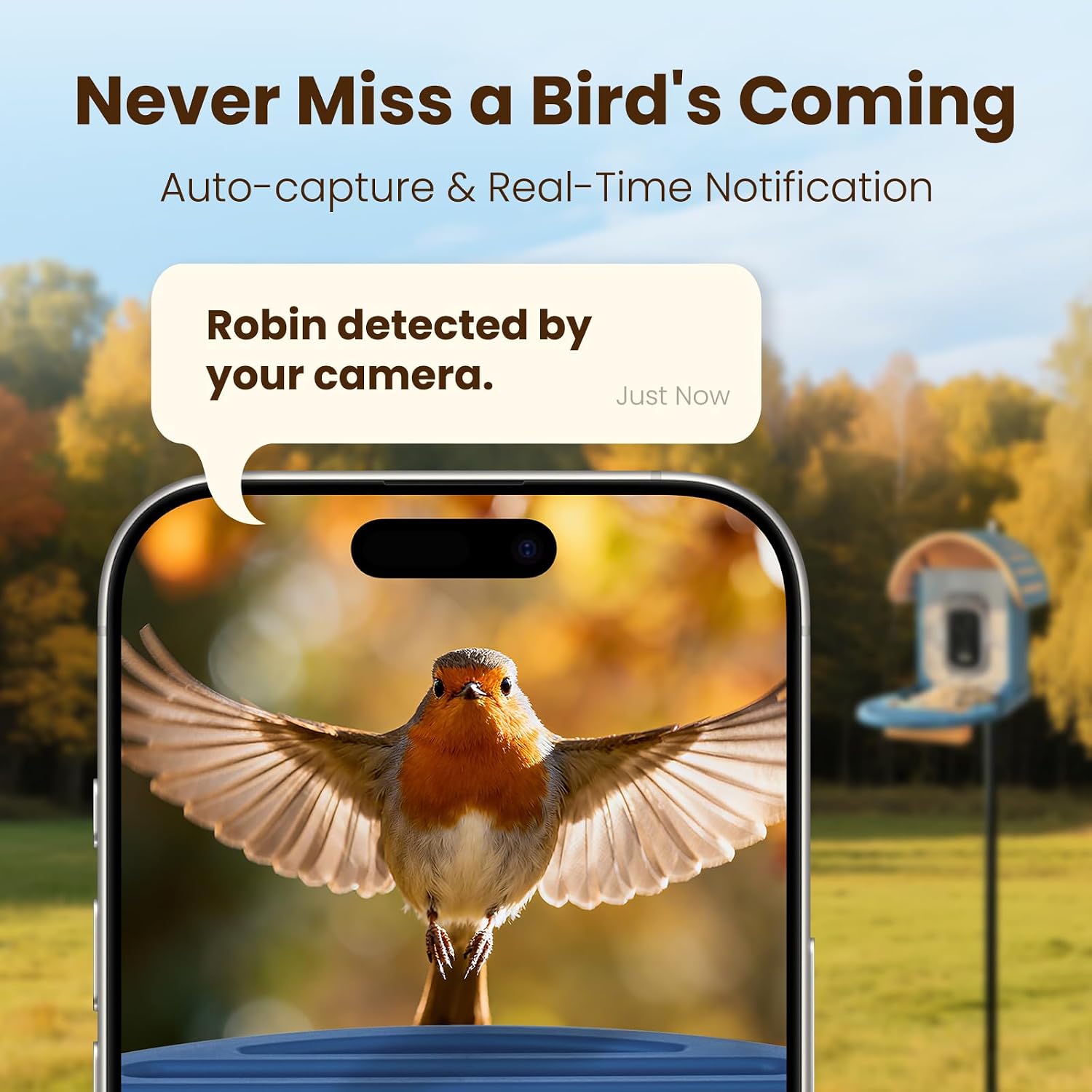 Detalle de 2.5K UHD Bird Feeder Camera Solar Powered with AI Identification, IP66 Outdoor Smart Feeder (Blue)