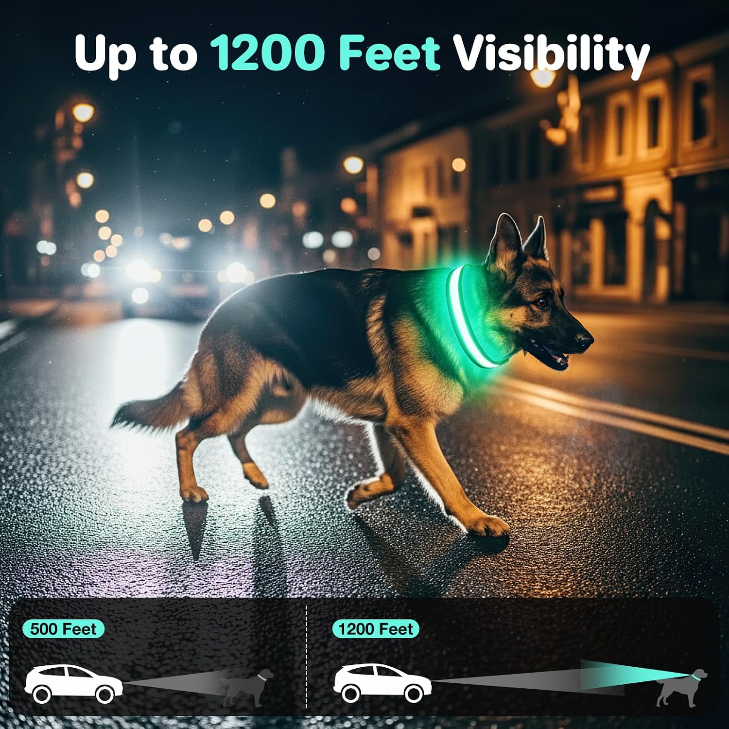 Detalle 2 de CAWJUG Dog LED Collar