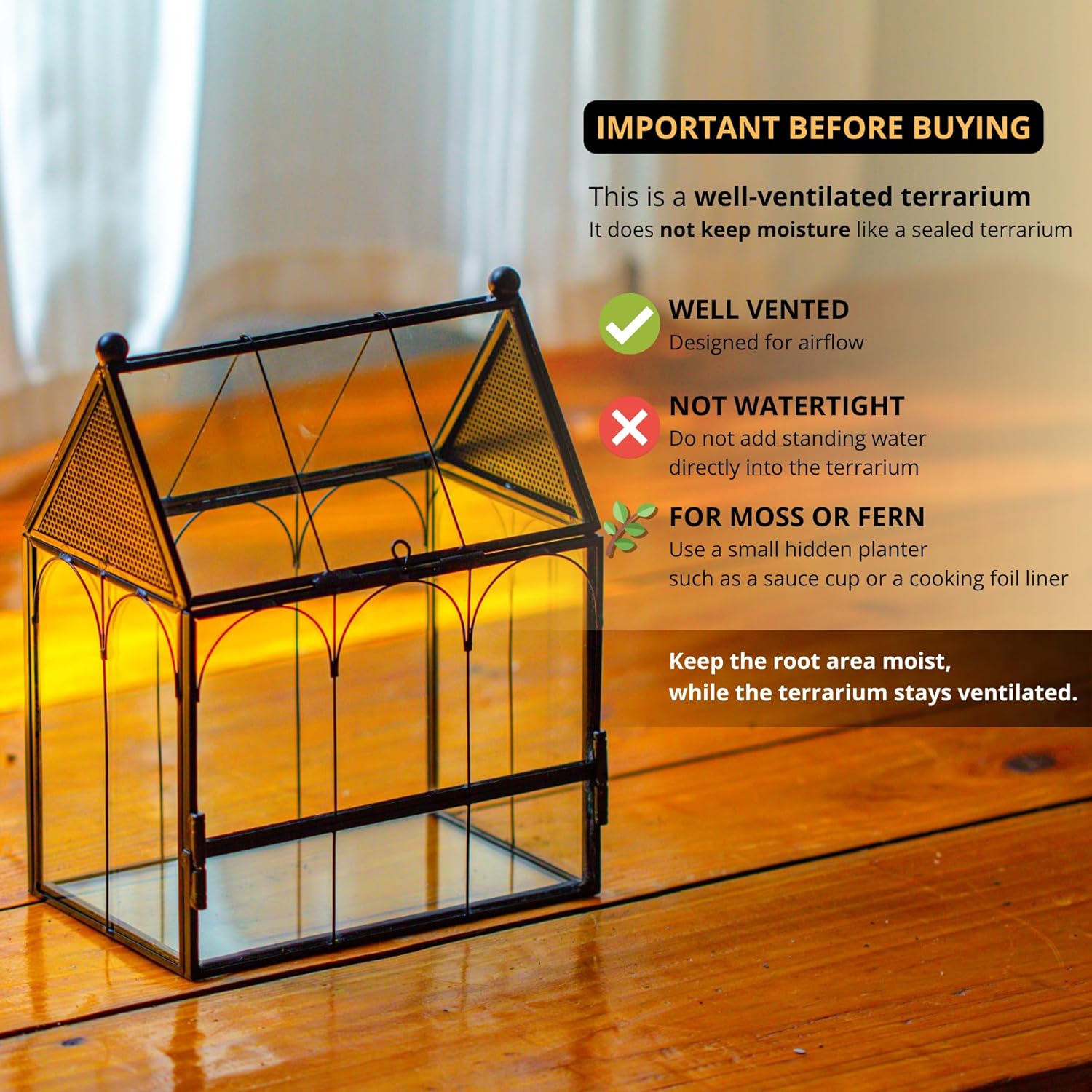 Thumbnail 2 de NCYP Small Glass Terrarium Enclosure with Mesh for Jumping Spiders (Terrarium Only) – Black, 14.7 x 9.6 x 17.8 cm