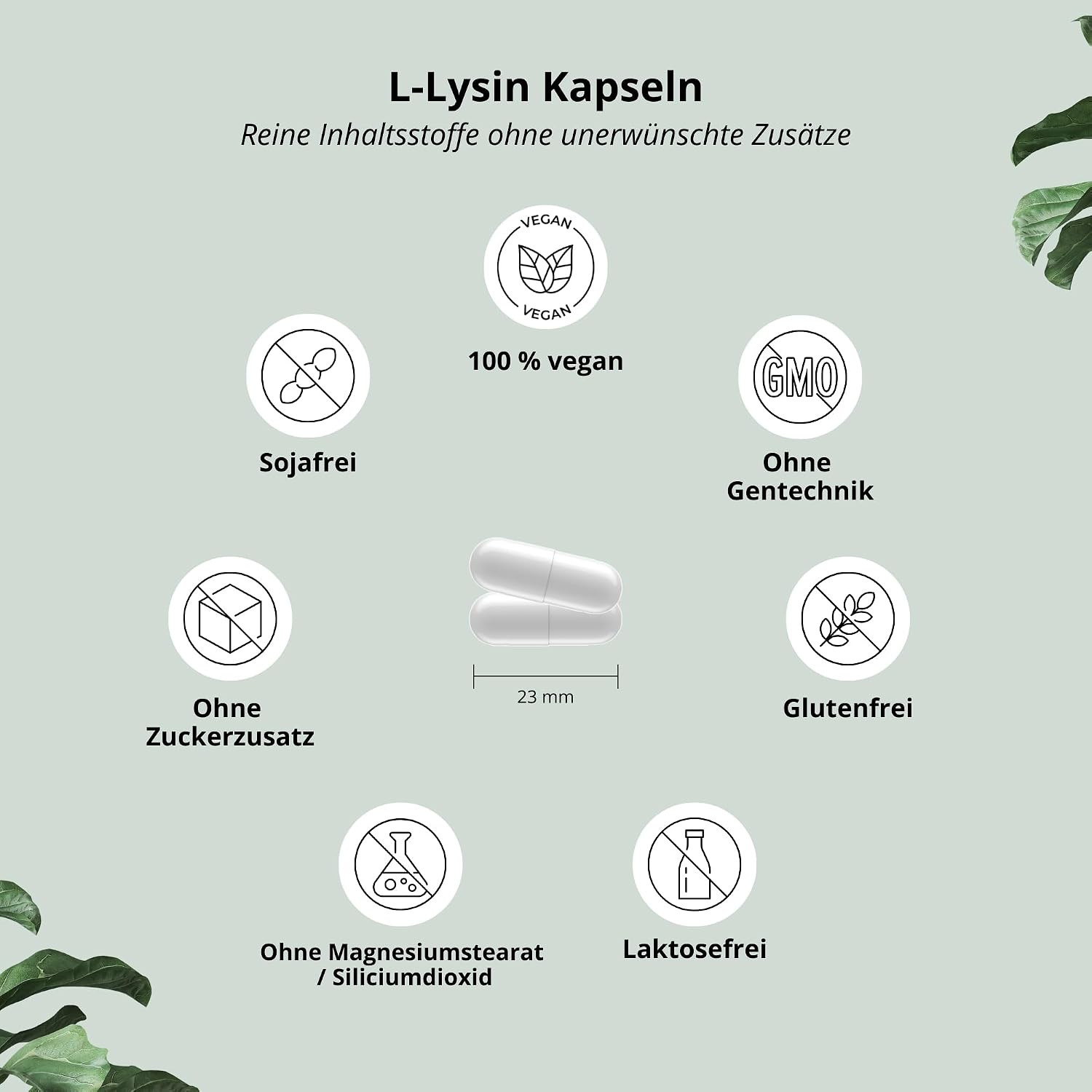 Thumbnail 2 de Nutri+ L-Lysin Kapseln hochdosiert + vegan – 120 Kapseln, 550 mg je Kapsel (2200 mg Tagesdosis)