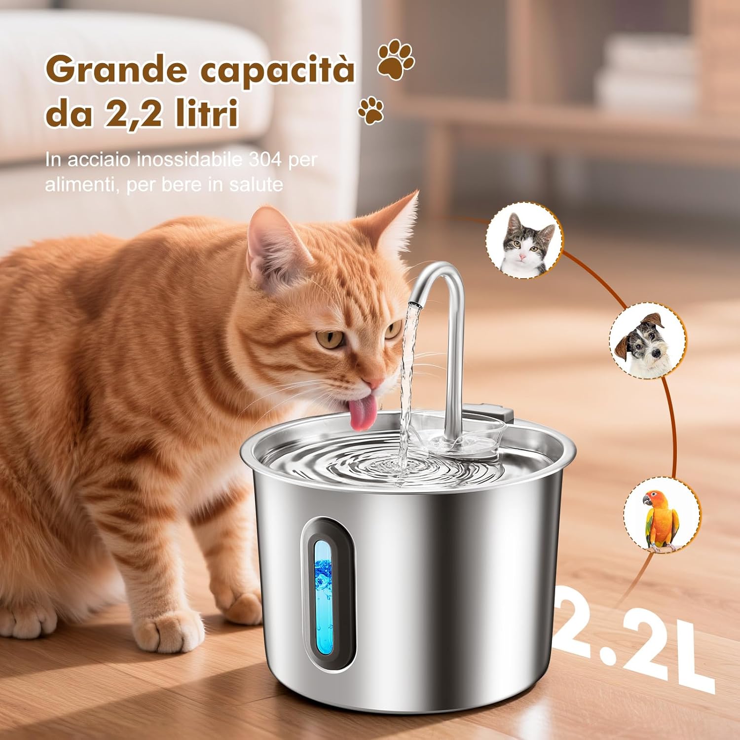 Thumbnail 1 de REVER Fontanella per gatti in acciaio inox 2,2 L con finestra LED, pompa ultra silenziosa e filtro multi-stadio