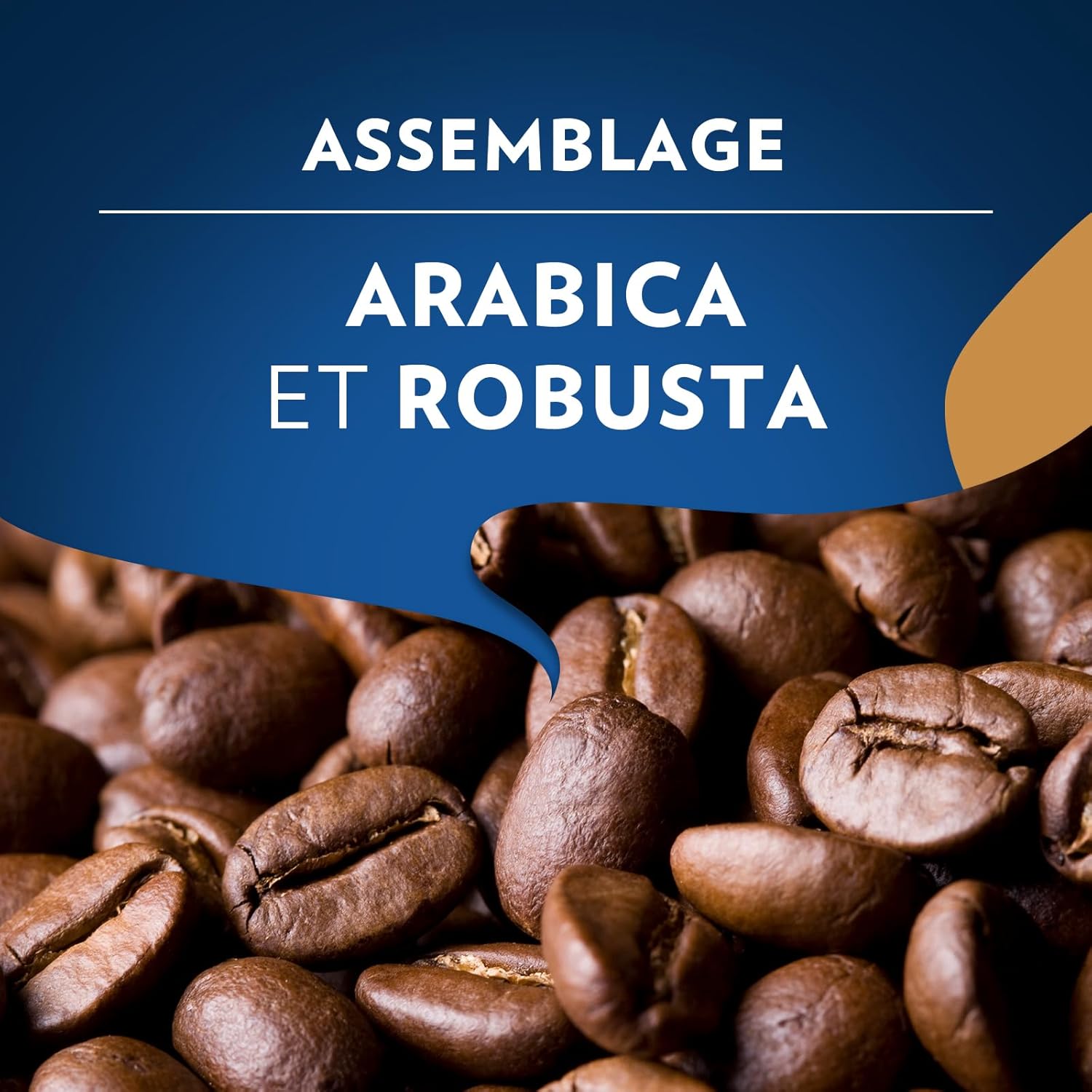 Detalle 2 de Lavazza Momento Dolce – Café en grains 1 kg pour machines automatiques, notes de chocolat, Arabica/Robusta