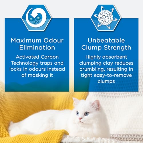 Detalle 2 de Ever Clean Clumping Cat Litter for Multiple Cats, Scented 10L
