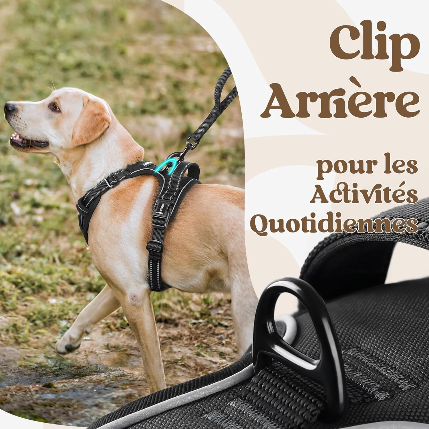 Thumbnail 6 de rabbitgoo Harnais pour chien anti-traction à 3 boucles, poignée et attache devant, réglable et réfléchissant (XL, noir)