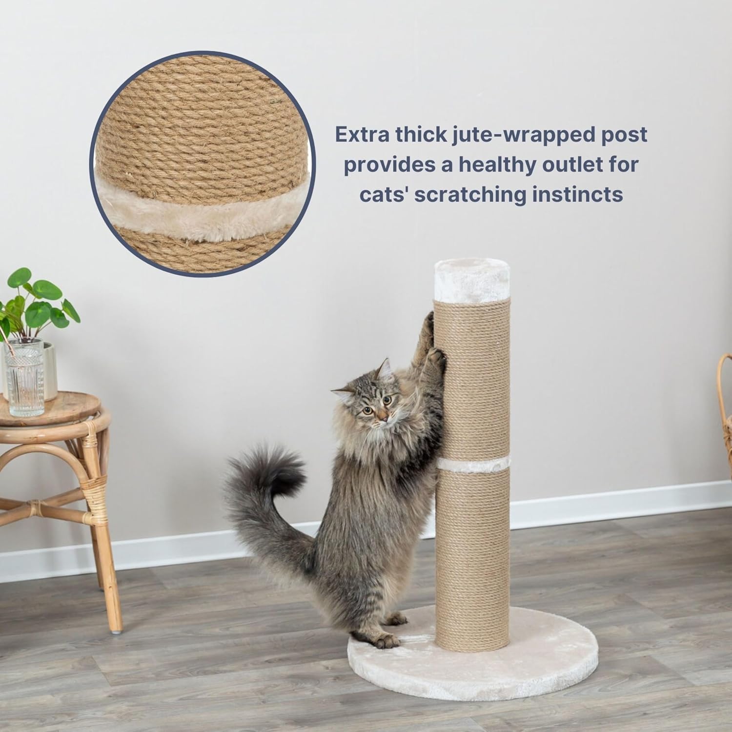 Detalle de TRIXIE Rue Griffoir XXL en sisal pour chats de grande taille avec base peluche beige – 80 cm