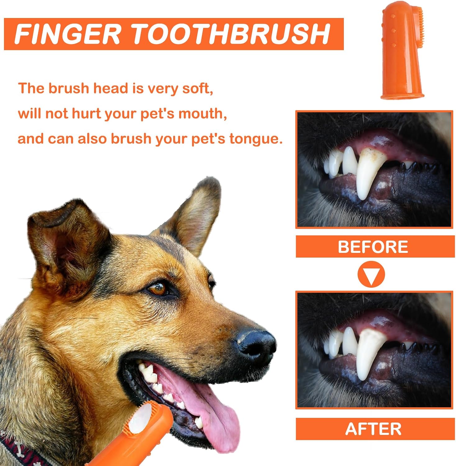 Detalle 2 de Dog Dental Care Set with Beef Toothpaste