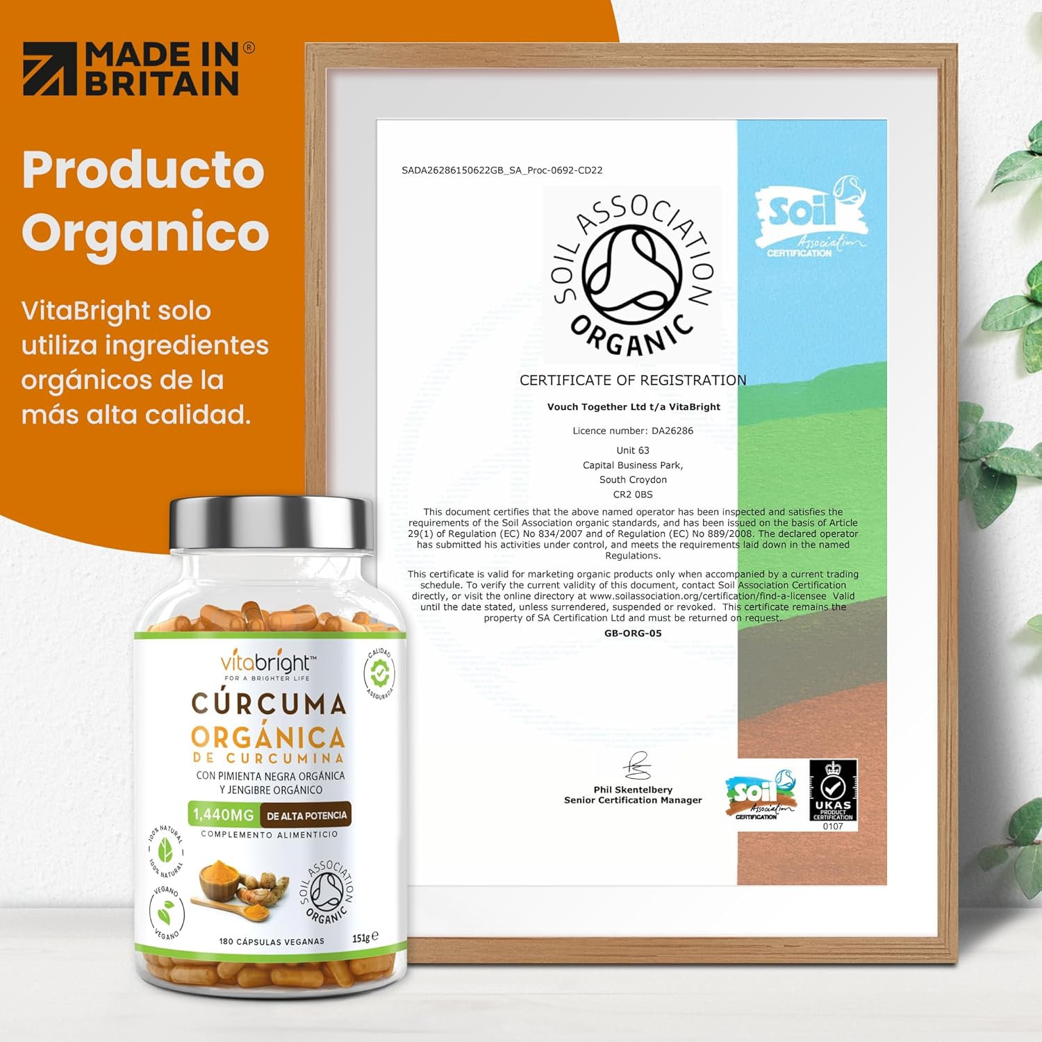 Thumbnail 3 de VitaBright Curcuma con Jengibre y Pimienta Negra 🧡