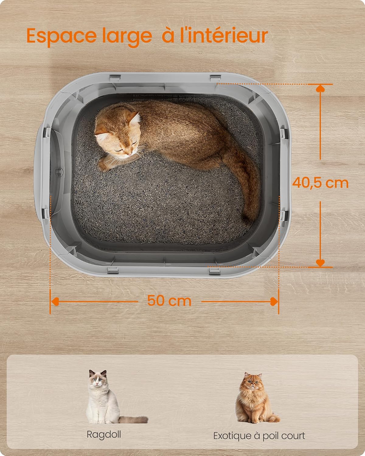 Detalle de FEANDREA BOXAL PPT002B01 kattenbak XXL met afneembare lade en rooster