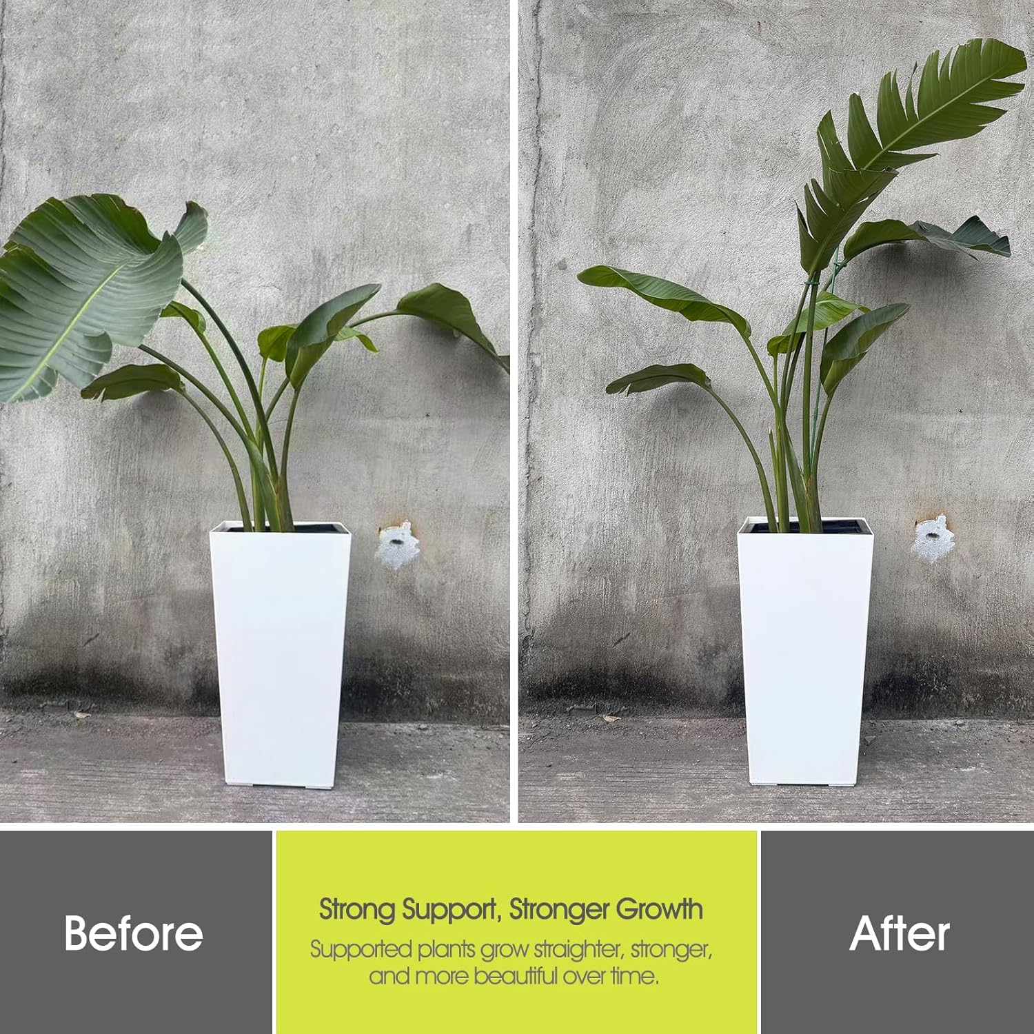 Detalle de RIFNY Plant Supports 30cm for indoor use