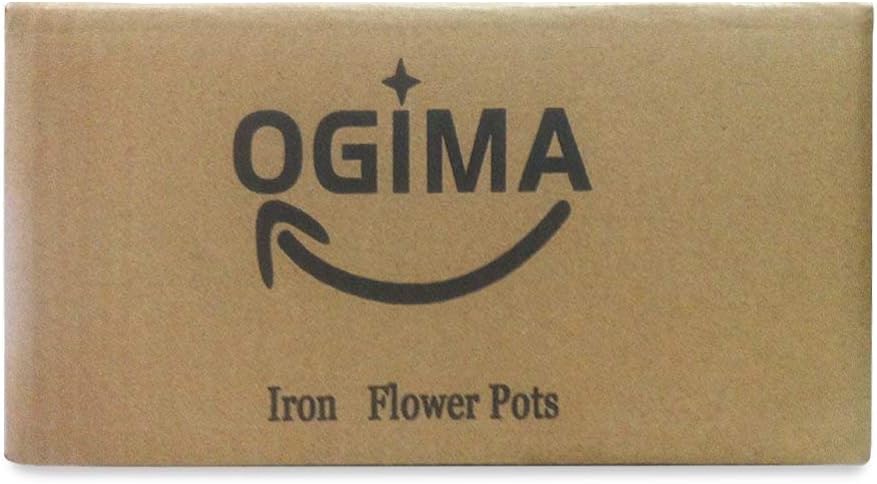 Detalle 1 de OGIMA 10 Hanging iron flower pots