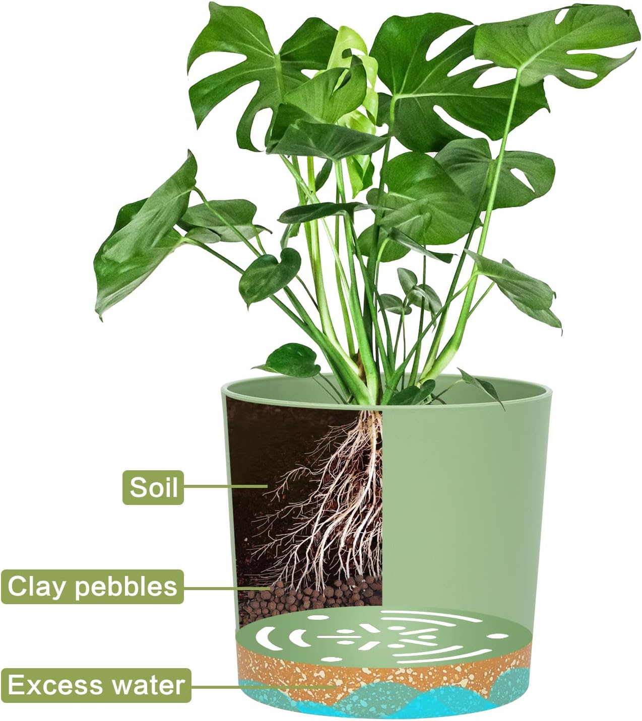 Detalle 2 de QCQHDU 25.4cm Plant Pot (2 Pack) with Drainage Holes & Saucer Tray, Green