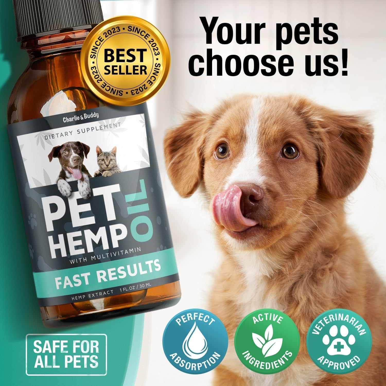 Detalle de Charlie & Buddy Hemp Oil for Pets, 1 Fl Oz