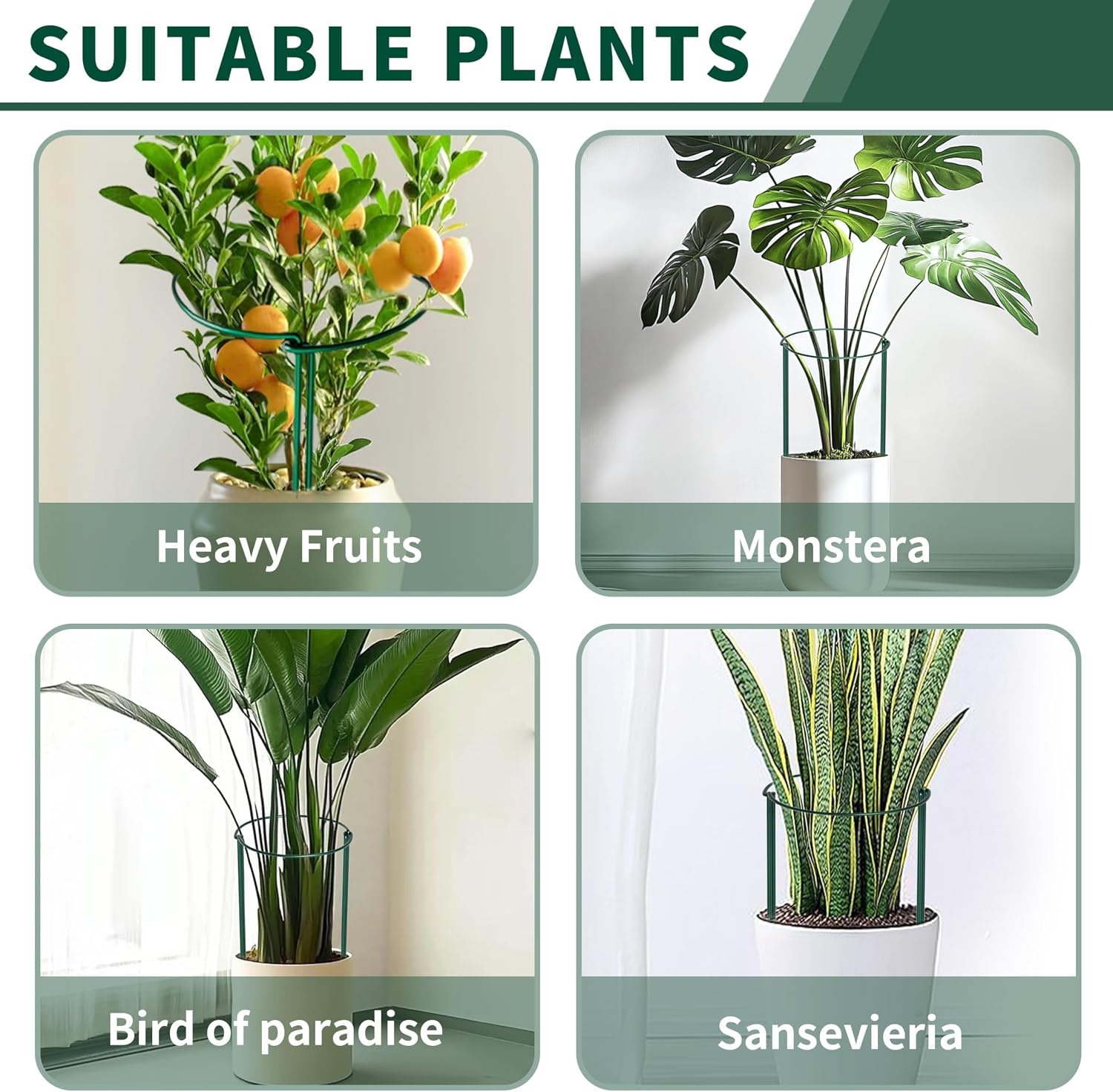Detalle 2 de 10pcs 25x60cm Plant Supports: Thicker 4mm Garden Stakes for Tall Perennials (Green, Weatherproof)