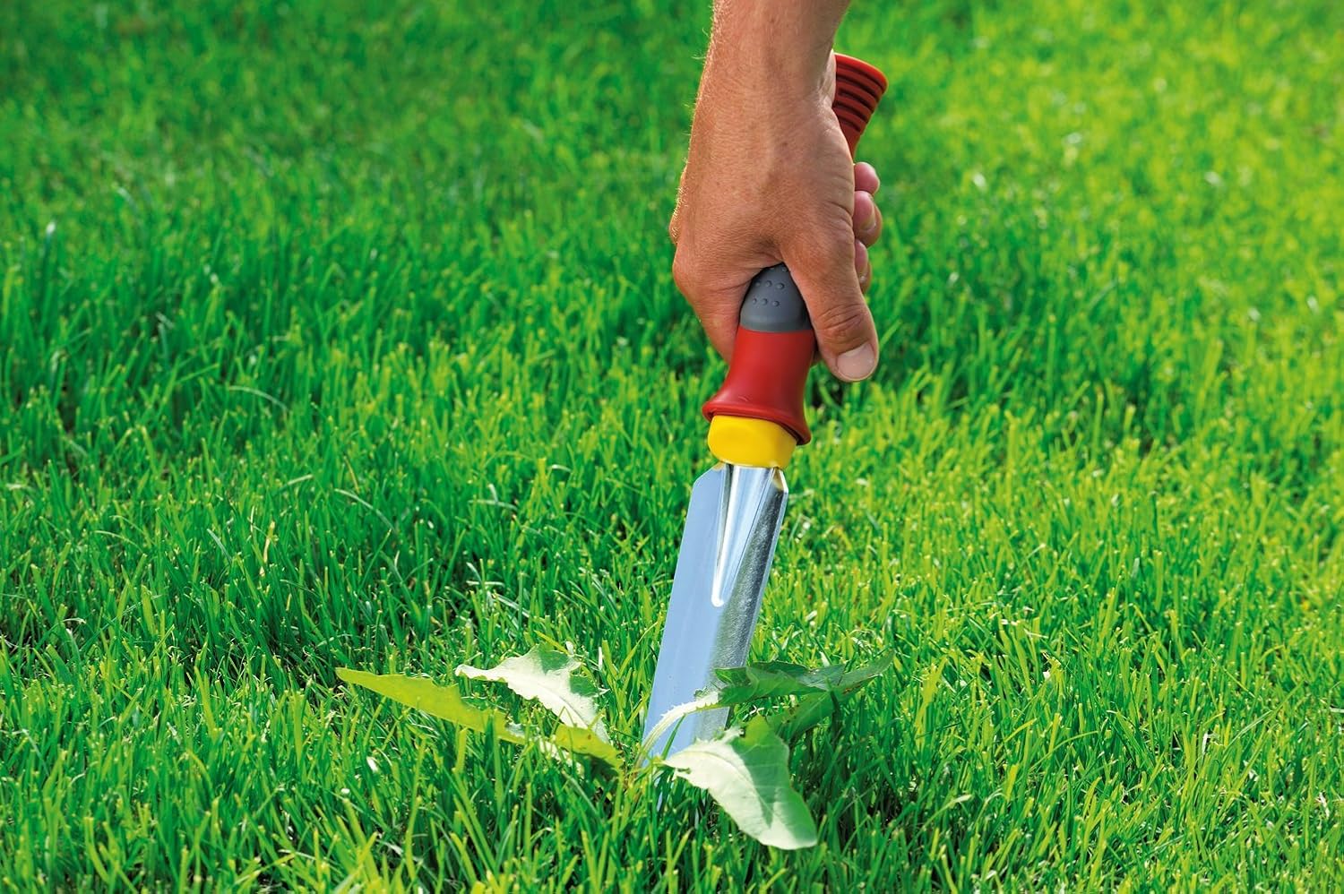 Detalle 2 de WOLF-Garten KS-2K – metalowy wyrywacz chwastów z miękkim uchwytem