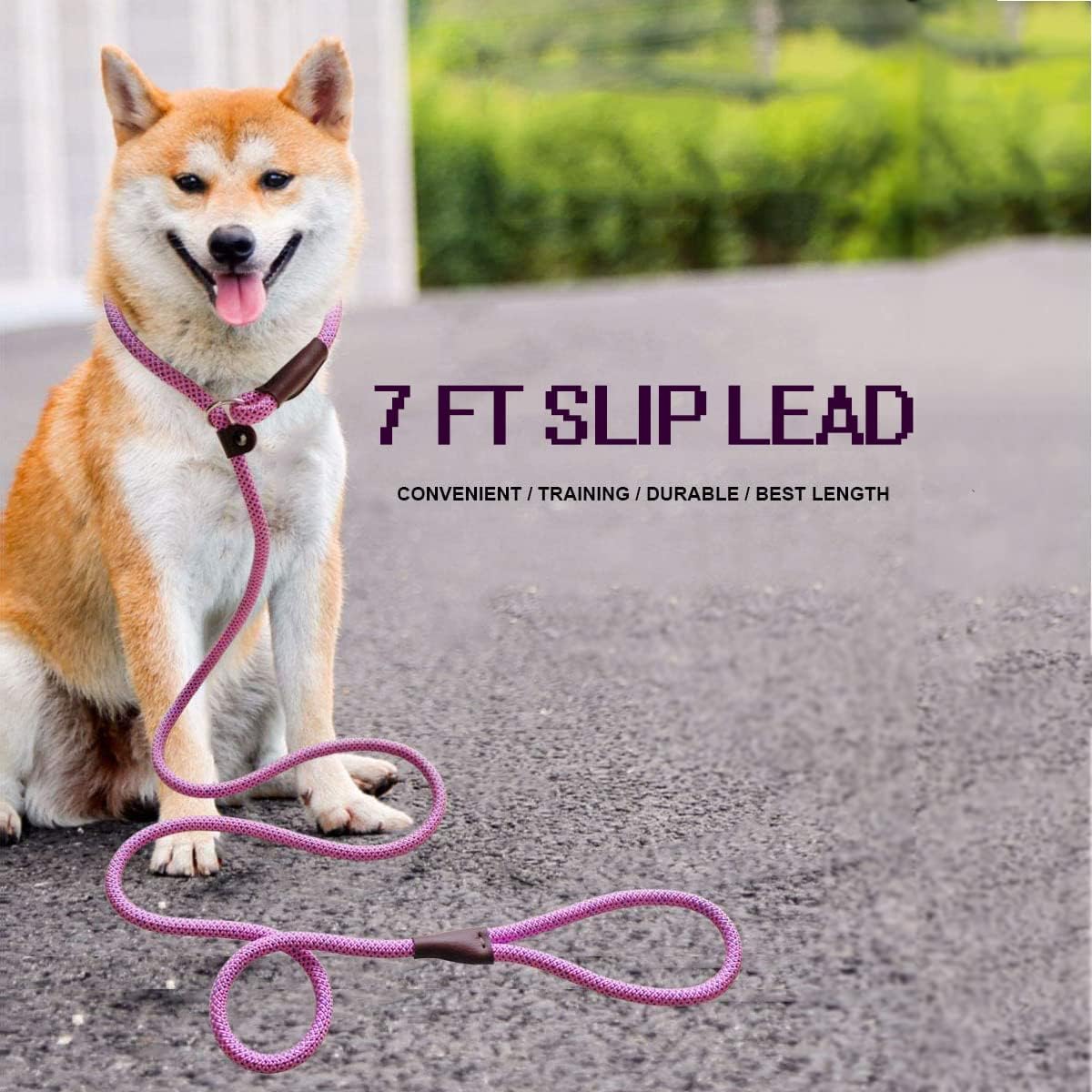 Thumbnail 5 de MayPaw 7ft Nylon Slip Lead for Dogs: Training, Walking and Easy Handling