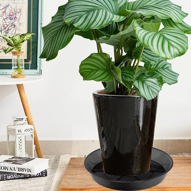 Detalle de NIMYAU Large Plant Saucer 14 Inch 🌱