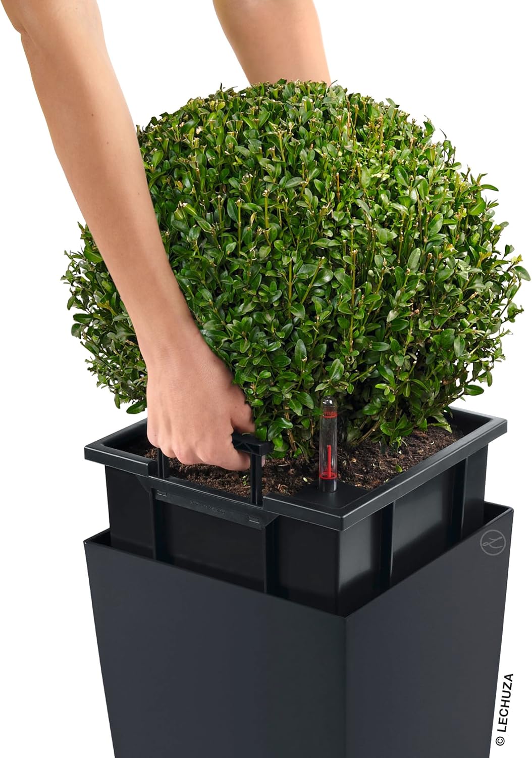 Thumbnail 6 de Lechuza Cubico Color 22 Schiefergrau