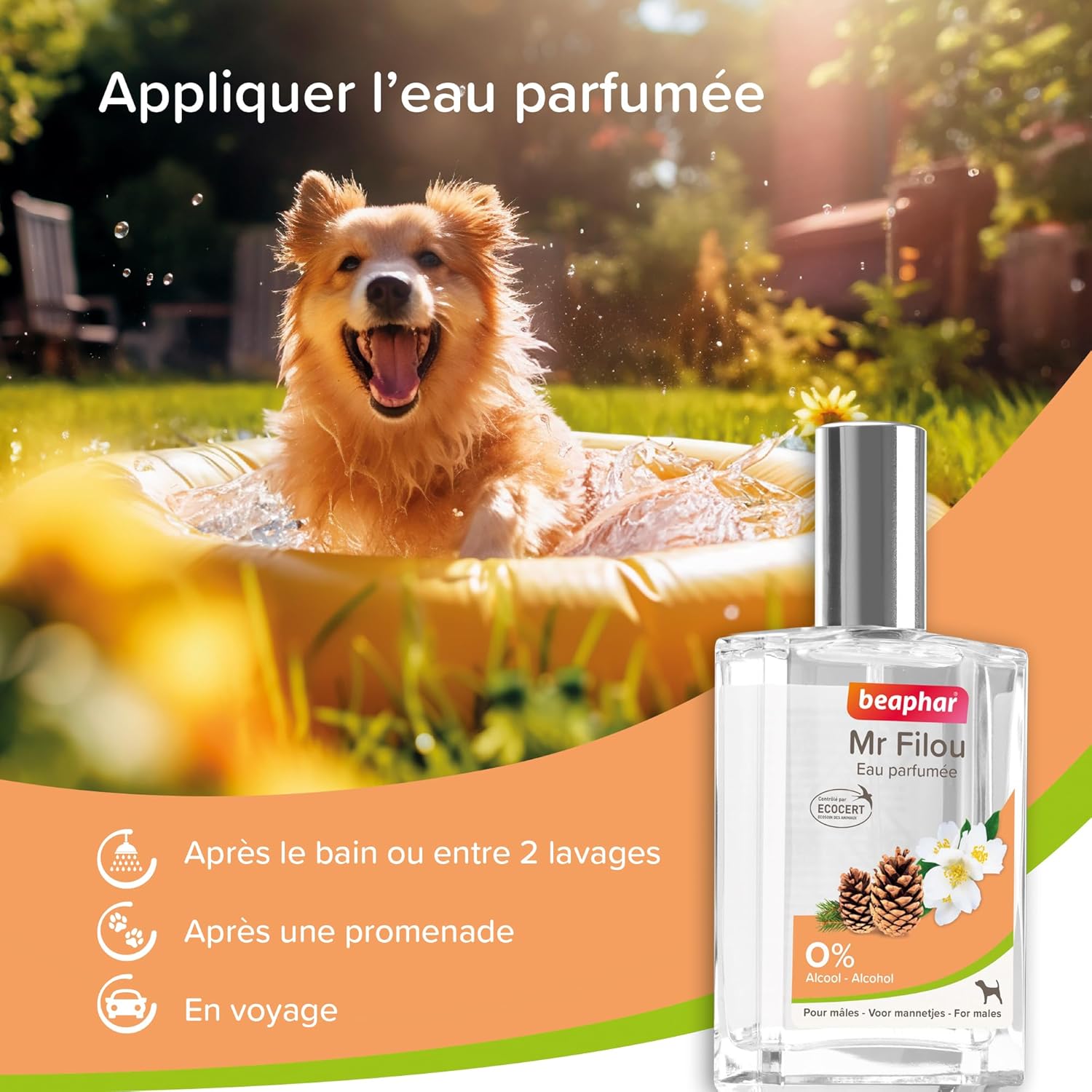 Detalle de BEAPHAR Mr FILOU Eau Parfumée labellisée ECOCERT pour Chien Mâle – 50 ml, sans alcool, 98% d’ingrédients naturels