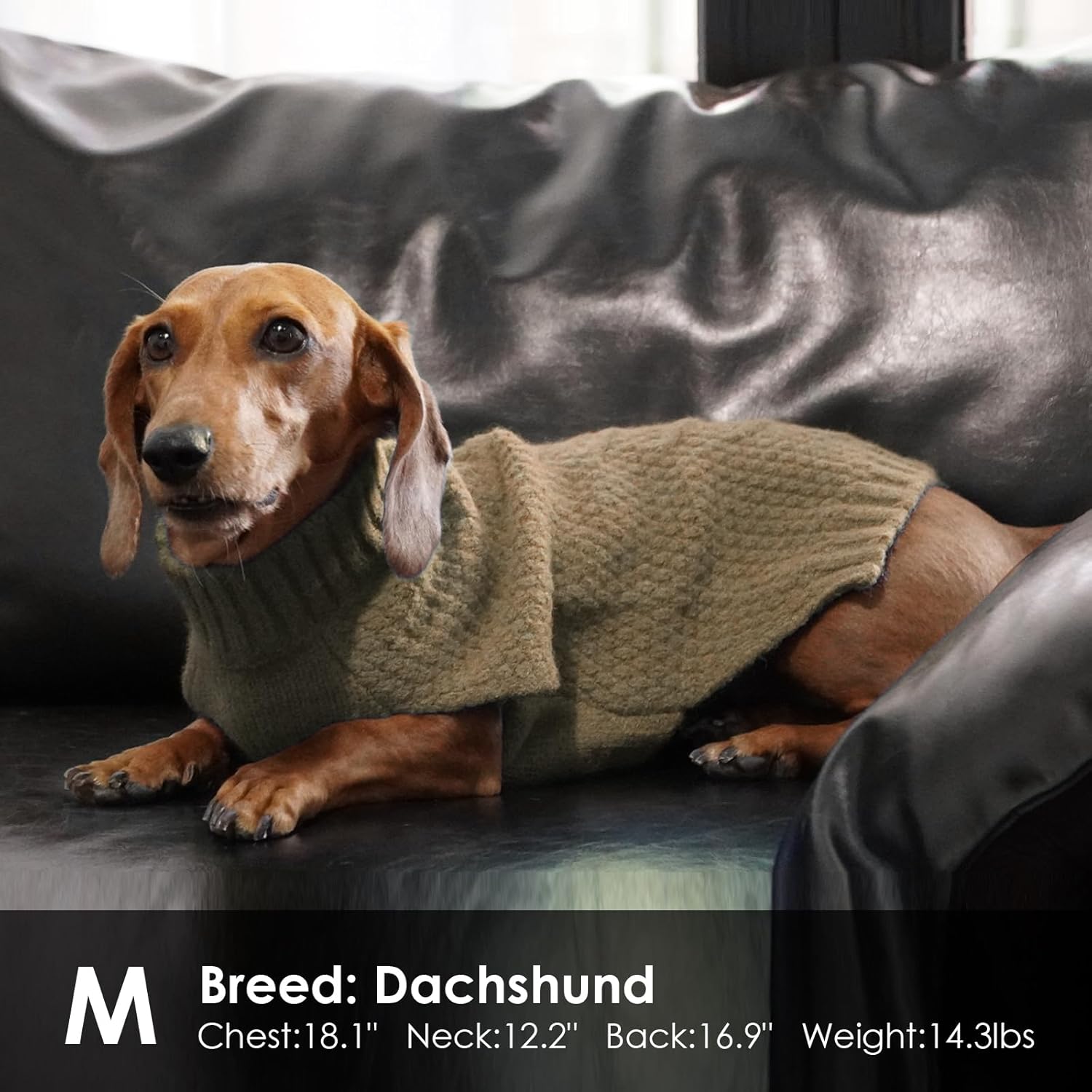 Thumbnail 4 de Katzinst Knitted Dog Jumper for Large Breed (XL) – Khaki