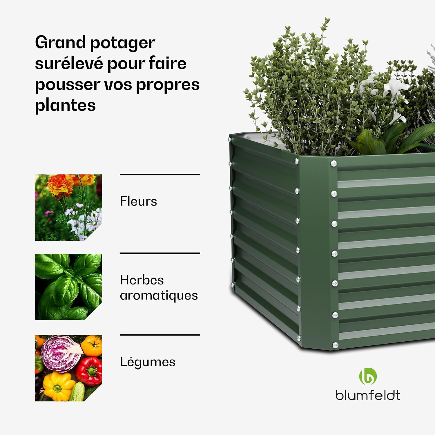 Detalle de Blumfeldt High Grow Straight verhoogde moestuin, 600 l in Galvalume-staal