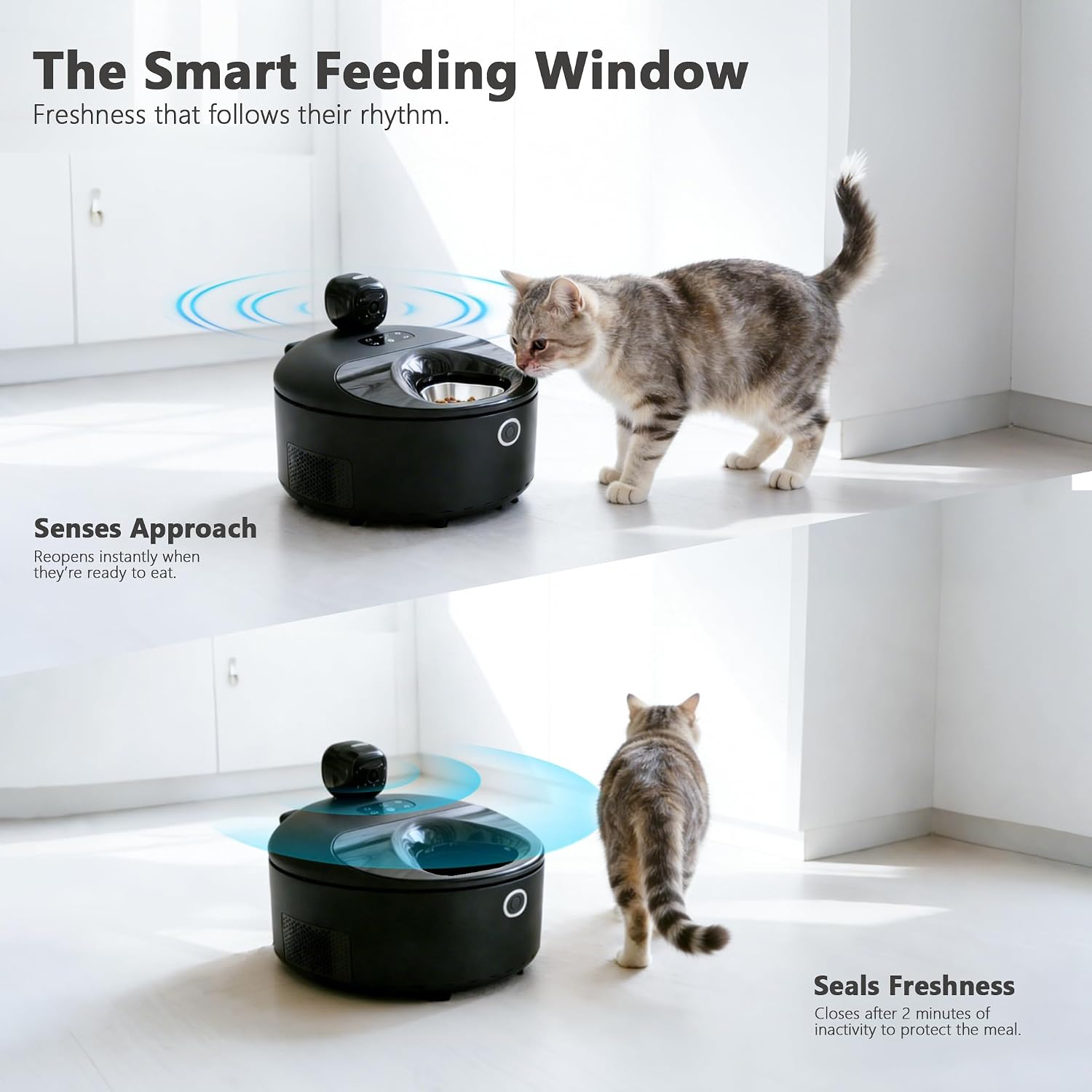 Thumbnail 5 de Catboxy Automatic Cat Feeder Wet Food