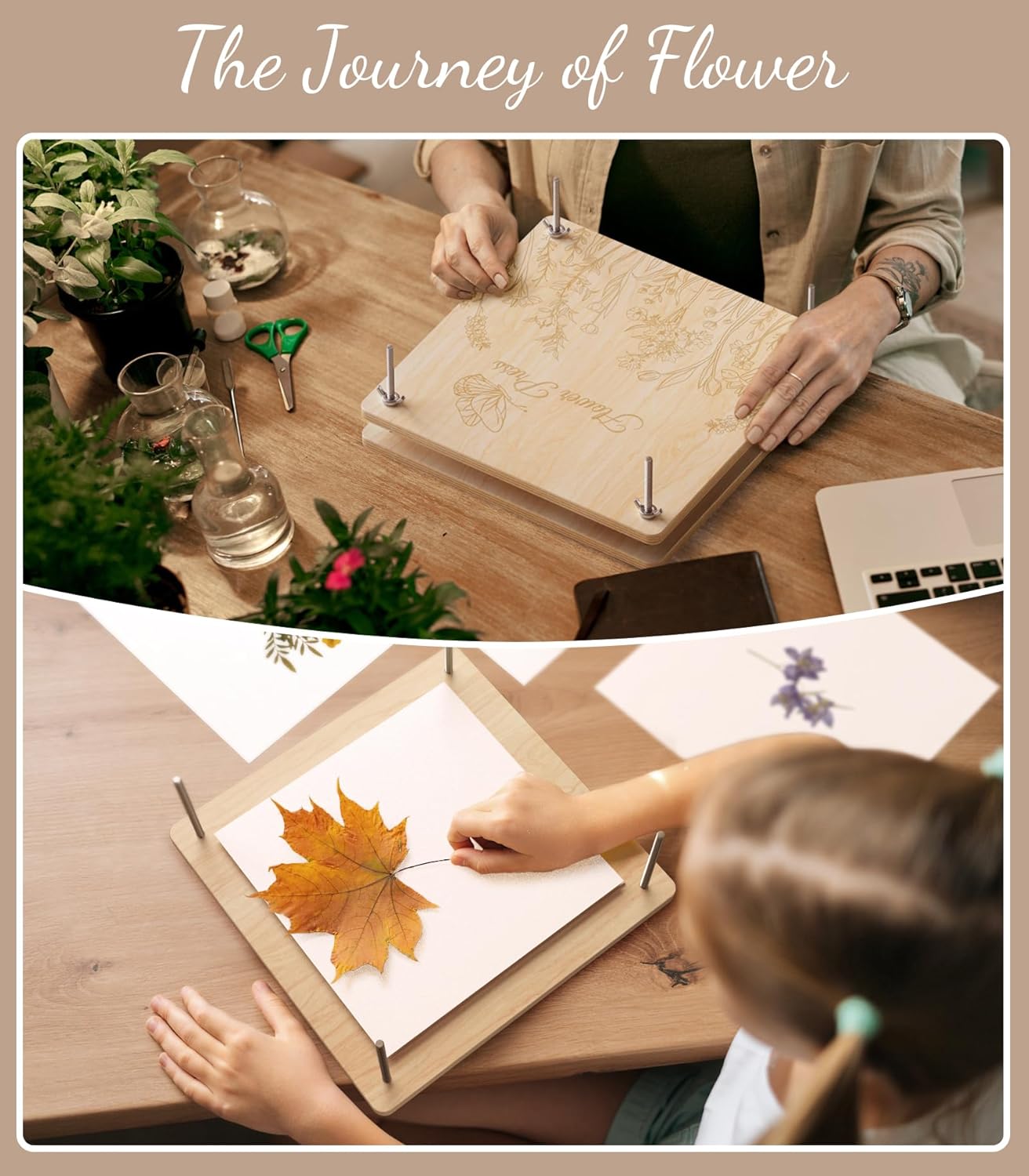 Thumbnail 6 de Wakhow Flower Press Kit (11" x 11") – Large Wooden Flower Presser for DIY Bouquet Preservation