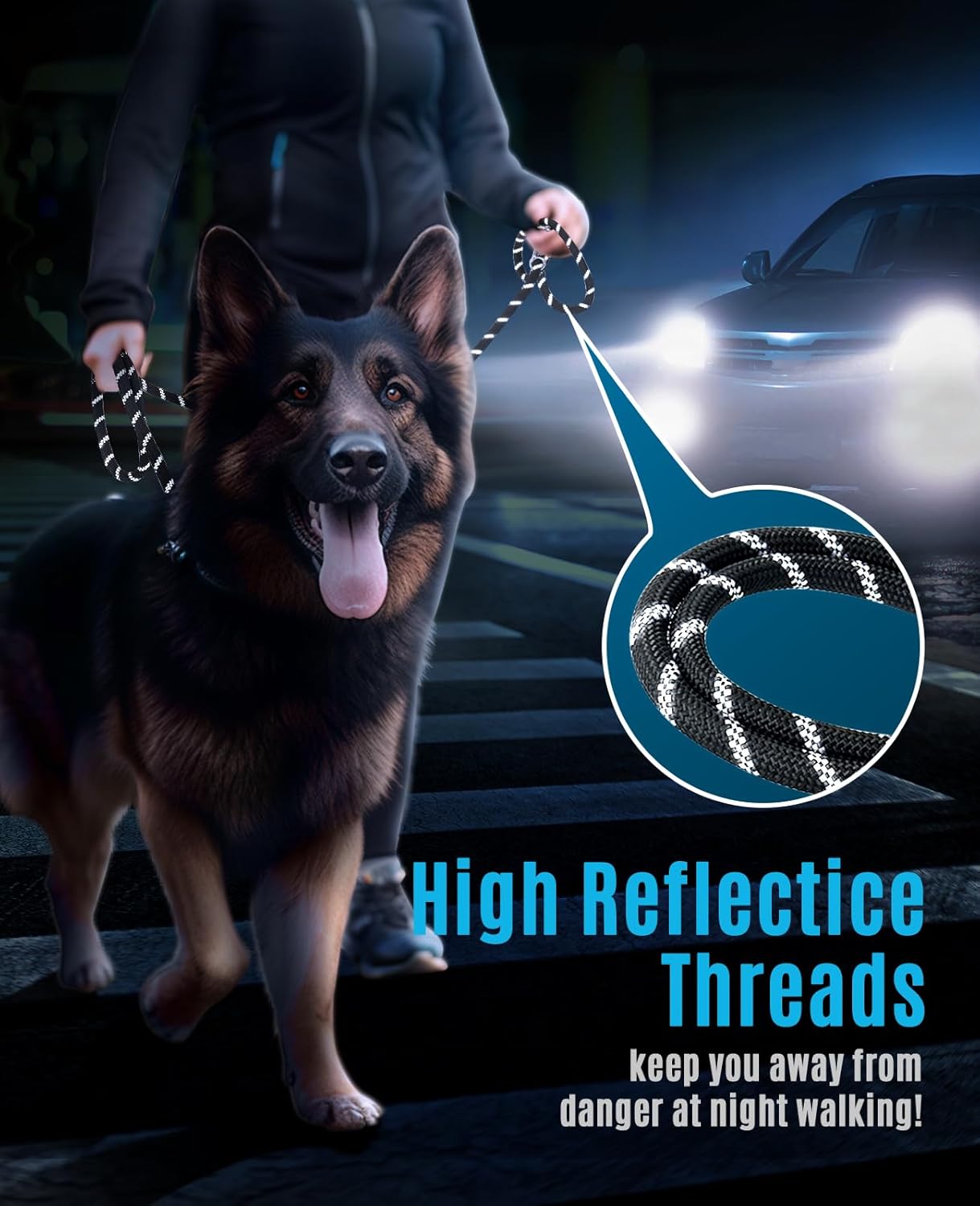 Thumbnail 4 de oneisall Laisse de Chien Grand & Moyen (15–60 kg) 3 m avec réfléchissant, charge annoncée jusqu’à 200 kg