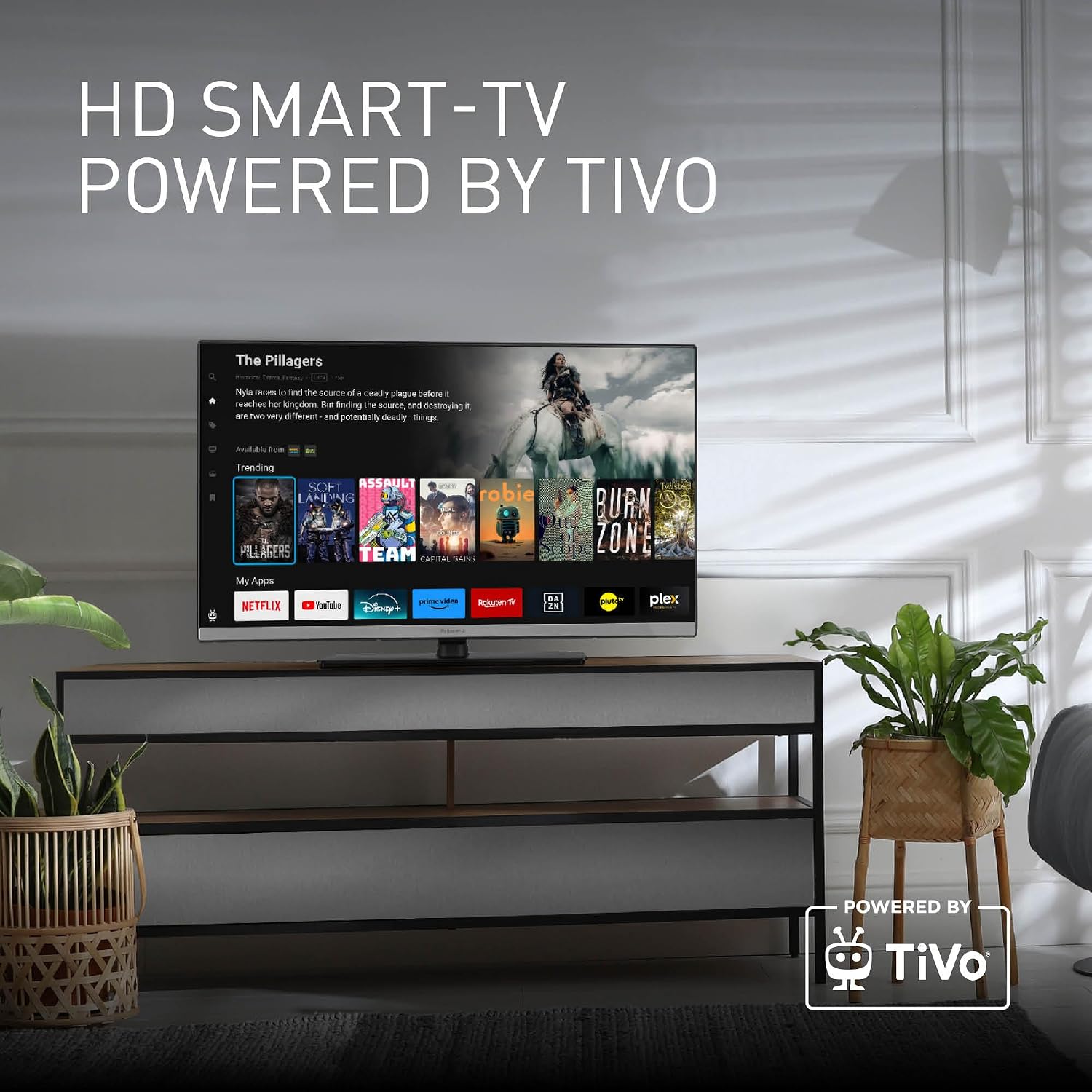 Detalle de Panasonic TB-24S40AEZC – 24 Zoll HD LED Smart TV mit TiVo, Sprachsteuerung und Gaming-Modus