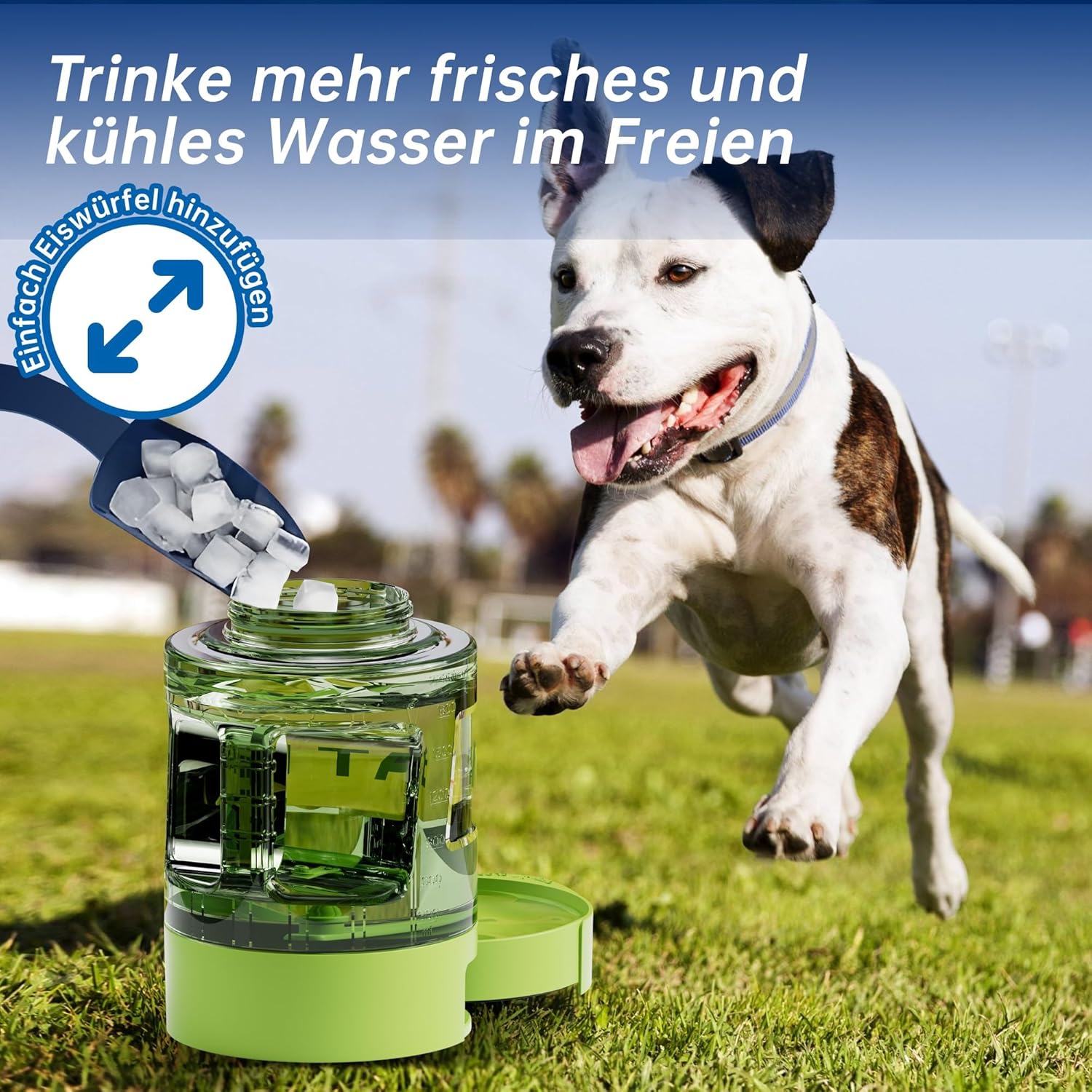 Thumbnail 5 de lesotc 2200 ml Hundetrinkflasche mit ausziehbarer Schüssel (XXL) – unterwegs für große Hunde, Armeegrün