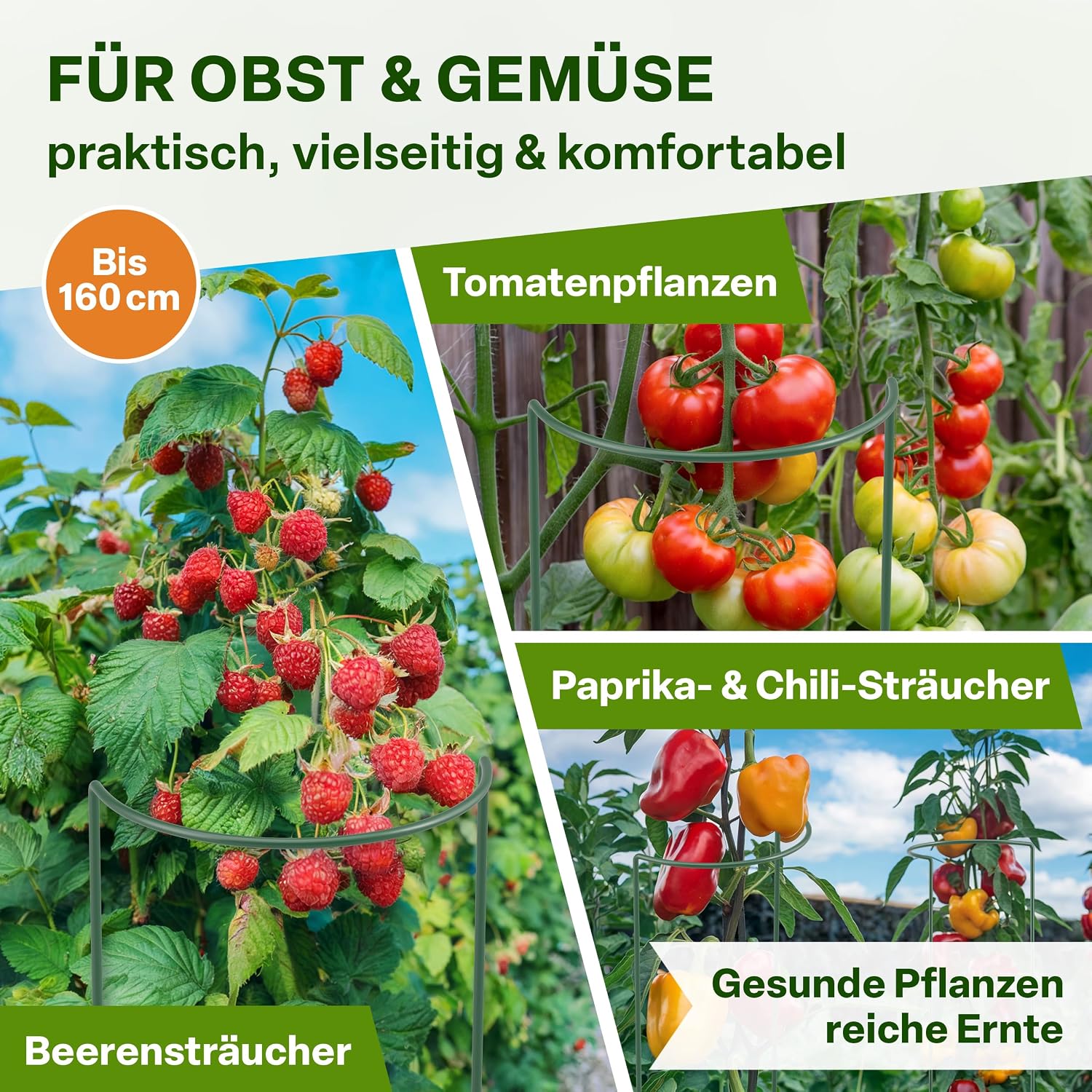 Detalle de TTL GARDEN Strauchstützen 100 cm x 40 cm | 10er Set + Klettband – rostfrei, grün