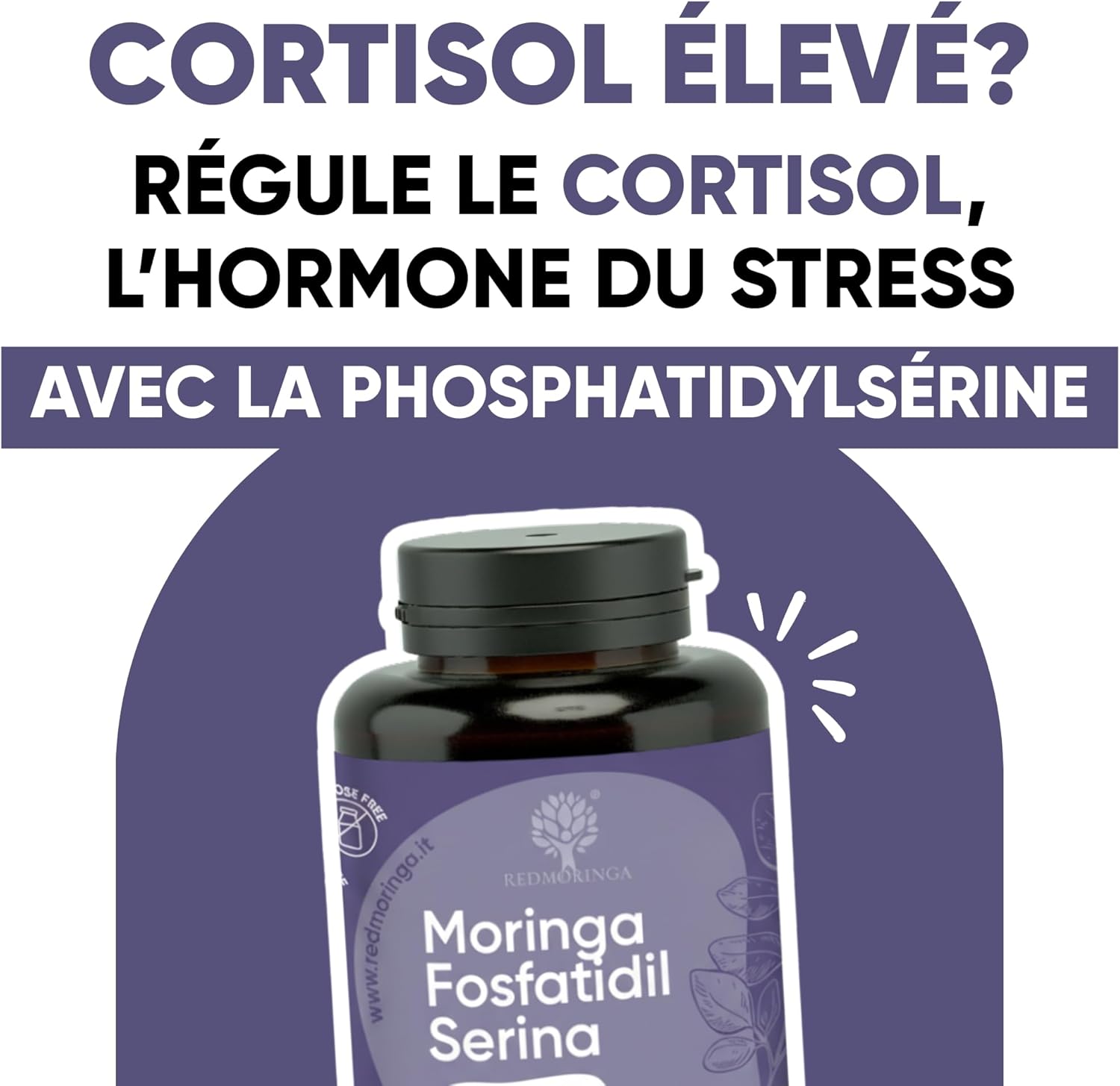 Detalle 2 de Phosphatidylsérine 450 mg + Moringa | Réduit le cortisol, stress et fatigue – 60 gélules, Made in Italy