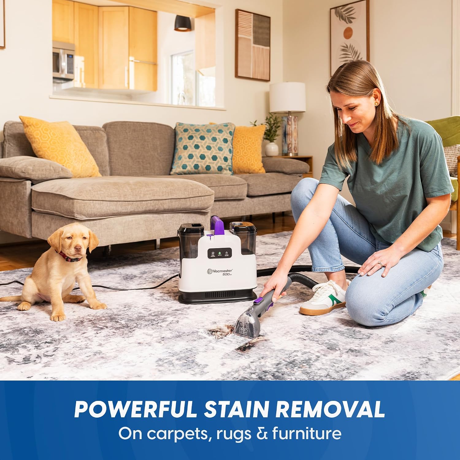 Detalle 2 de Vacmaster 500 Series SCB1001H 0101 Heated Spot Cleaner, 16Kpa Suction