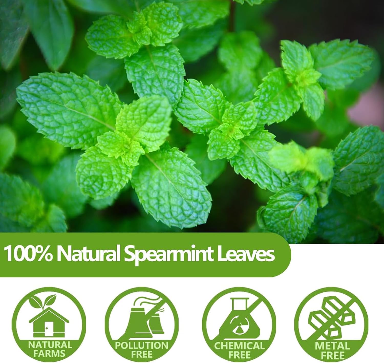 Detalle de ULTHMOK Premium Spearmint örtte, 60 tepåsar – koffeinfritt utan tillsatser