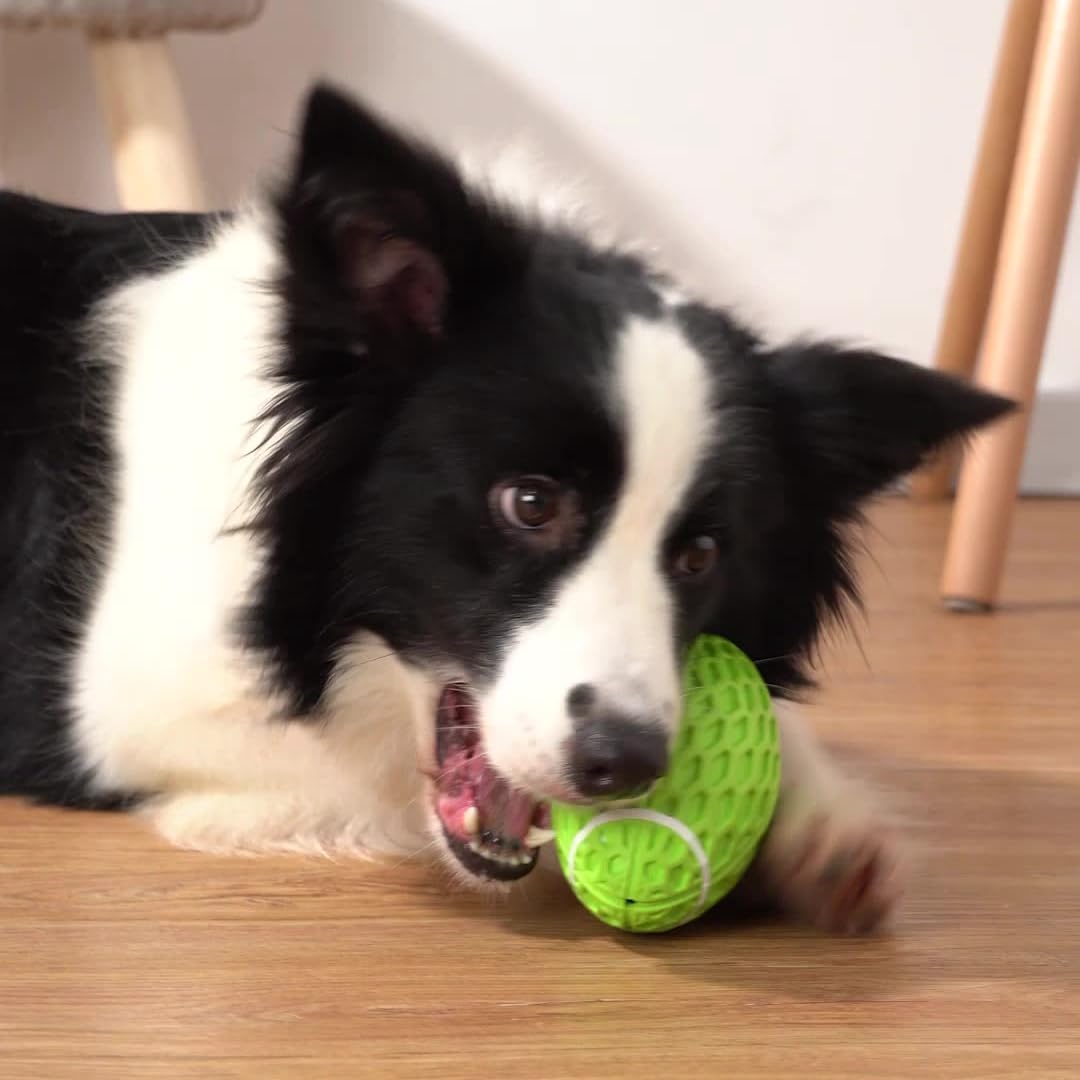 Thumbnail 4 de AUSCAT Squeaky Dog Ball for Aggressive Chewers (Tough Rubber Rugby Ball) – Green, Large, 5.5 in / 14 cm