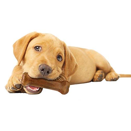 Thumbnail 9 de Nylabone Puppy Starter Kit: kit inicial para cachorros