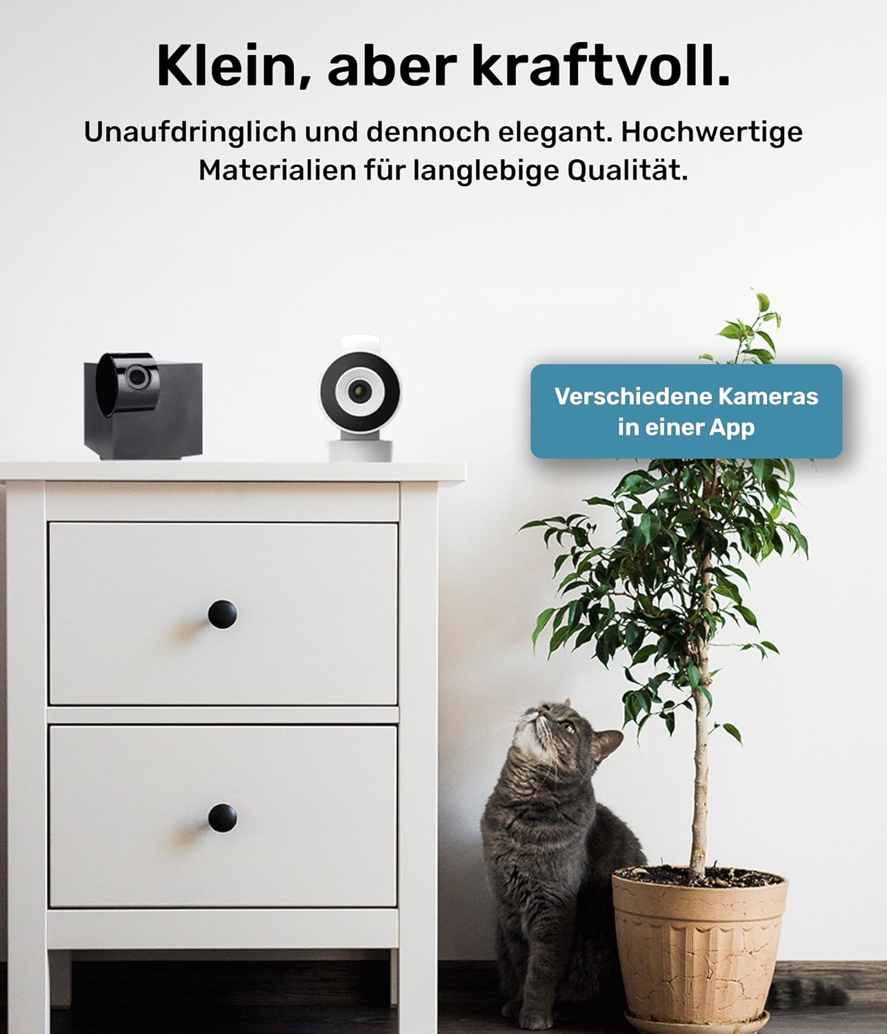 Thumbnail 3 de PetTec Cam 360° Haustierkamera mit Full‑HD Rundumblick