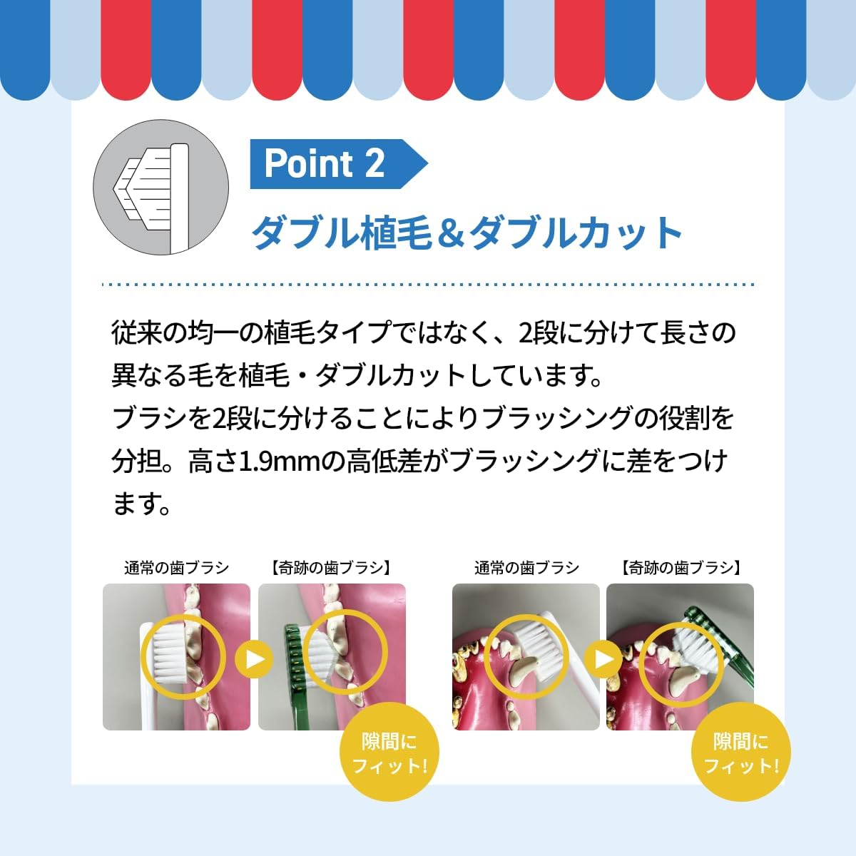 Thumbnail 3 de A.P.D.C. 犬用 奇跡の歯ブラシ 中・大型犬用 ふつう 2本セット 薄型ヘッド・ピラミッドカット