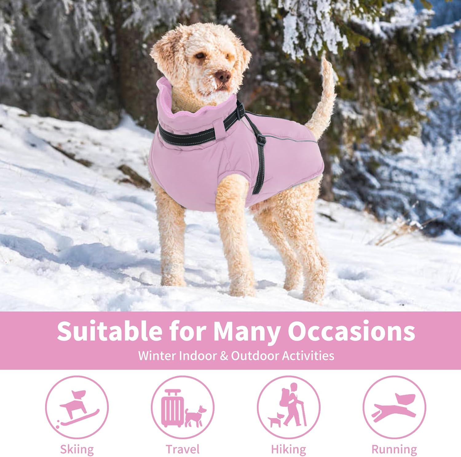 Detalle 2 de Lelepet Winter Dog Jacket XL