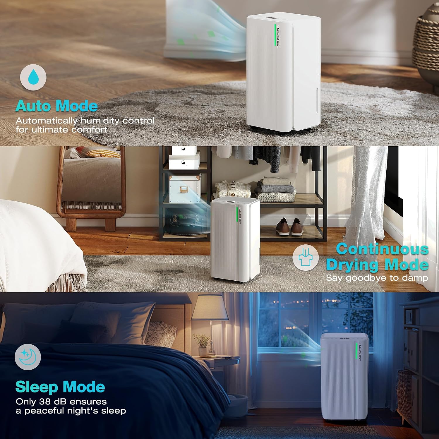 Thumbnail 3 de HAUSHOF 12L/Day dehumidifier with air purification, digital humidity display and 24h timer