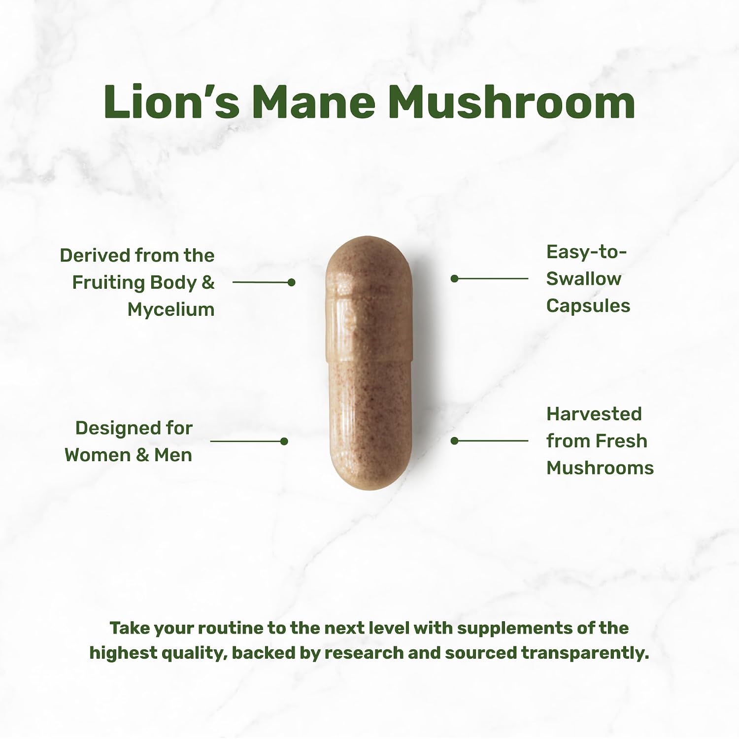 Detalle de DEAL SUPPLEMENT Lion’s Mane Capsules, 240 Capsules