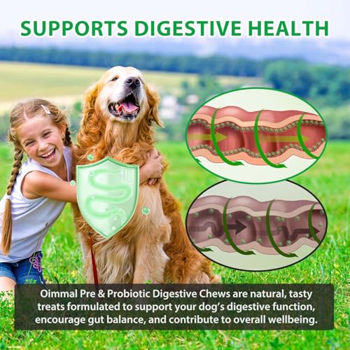 Detalle de Probiotici per Cani Bieyoc: Gommosi probiotiche con enzimi digestivi per supportare intestino, immunità e salute generale