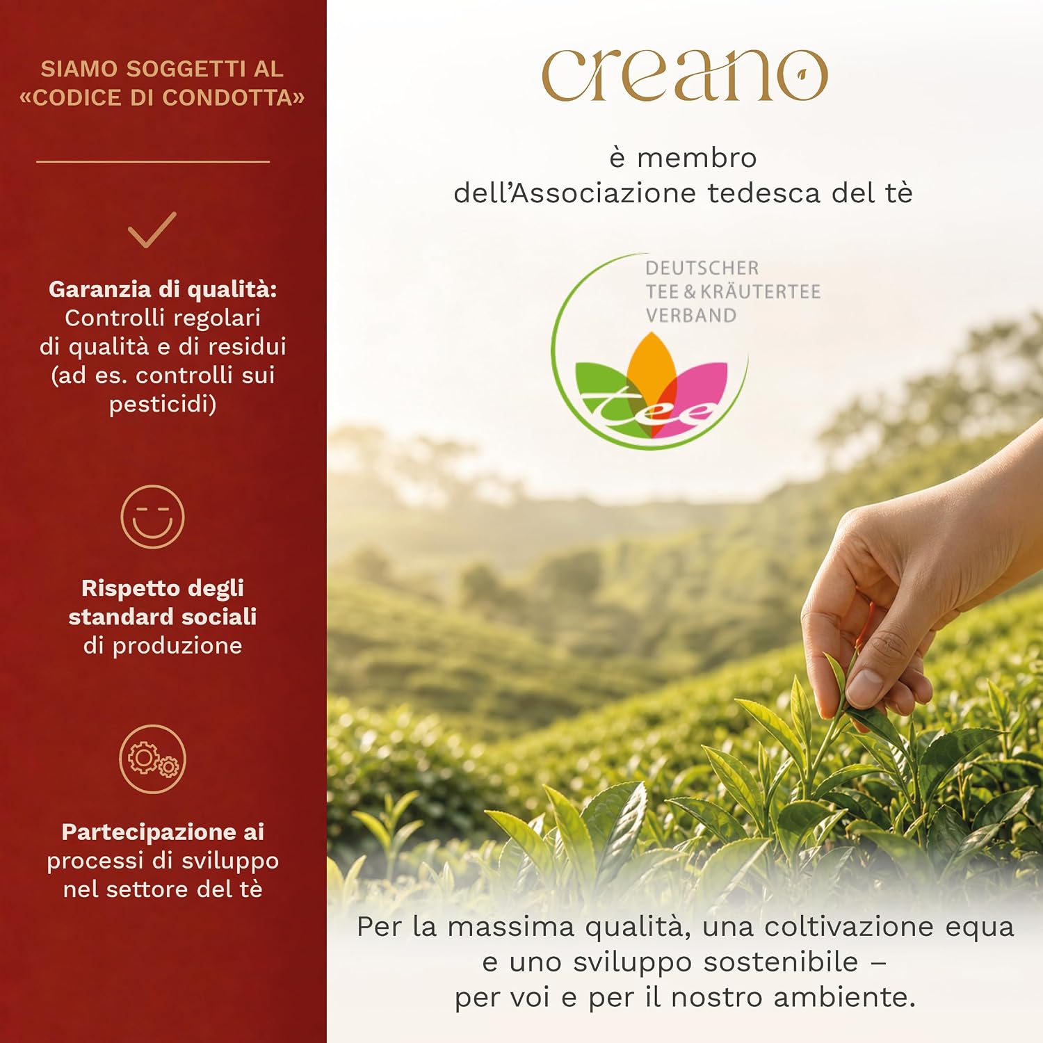 Thumbnail 5 de Creano Fiori di Tè bianco 39g