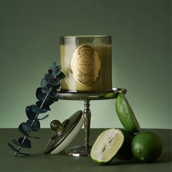 Thumbnail 6 de M&SENSE MSSH009 Elixir Emporium geurkaars, 360 g sojawas, salie-eucalyptus