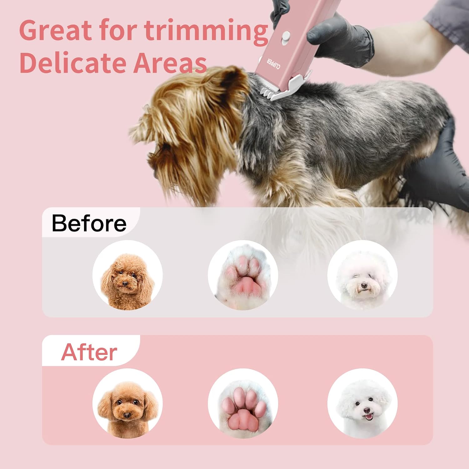 Thumbnail 4 de Professional Cat Grooming Kit