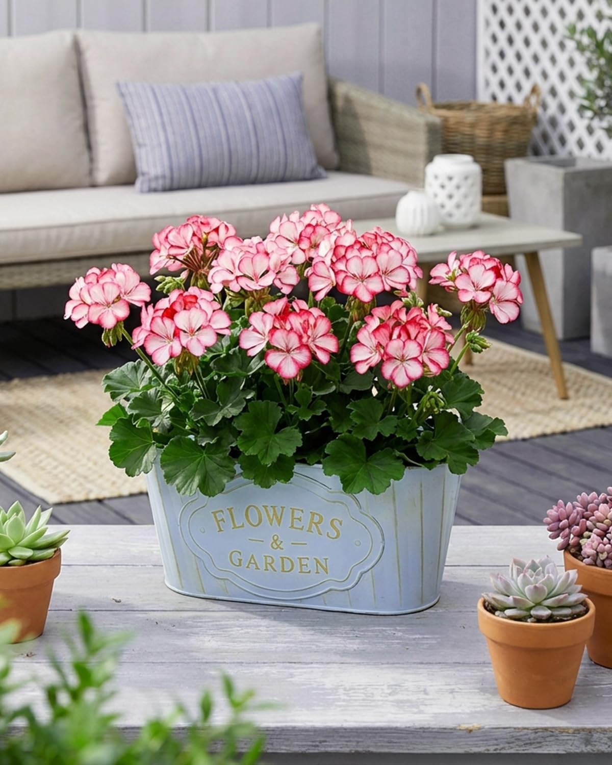 Thumbnail 6 de 4 Pack Retro Style Galvanised Iron Hanging Flower Pots with Detachable Hooks (Milk Blue & Milk Yellow)