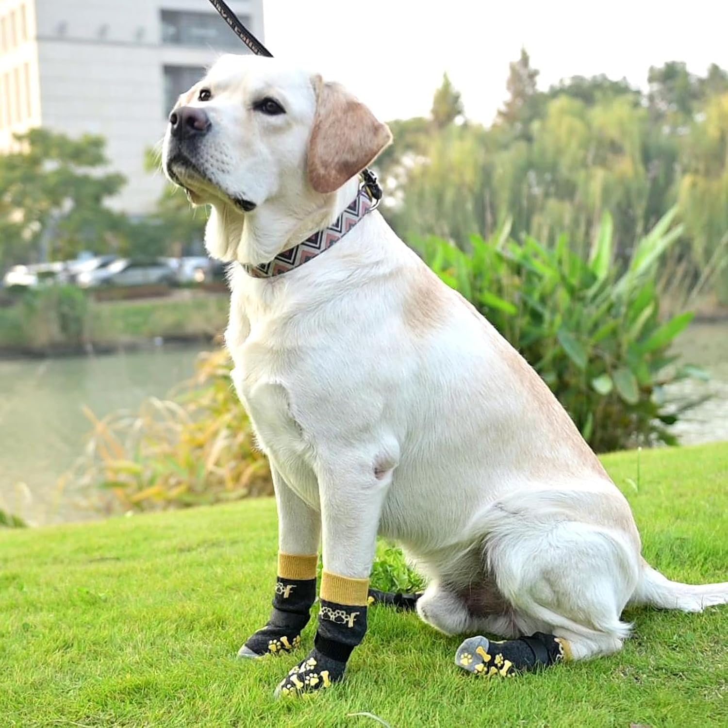 Thumbnail 6 de KOOLTAIL Dog Socks, Medium