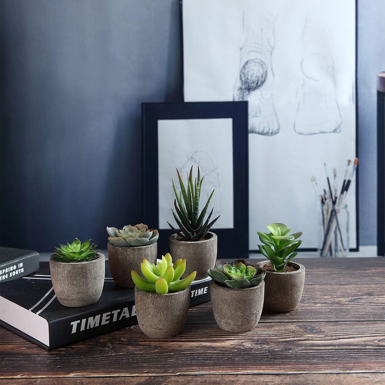 Thumbnail 1 de T4U Mini Artificial Succulent Plants, 6 Pack in Plastic Pots